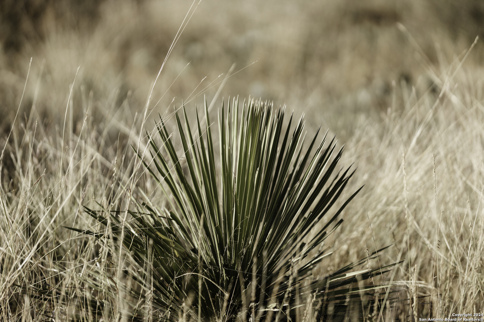 Tbd W Rr 962 Round Mountain TX 78663
