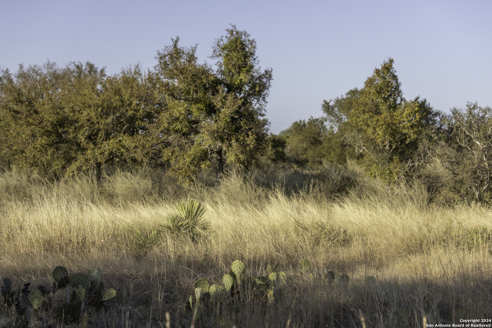 Tbd W Rr 962 Round Mountain TX 78663