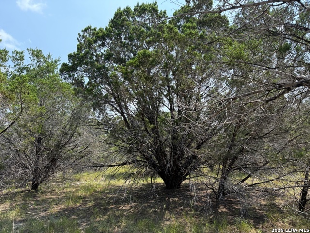 1672 Noble Trail Canyon Lake TX 78133
