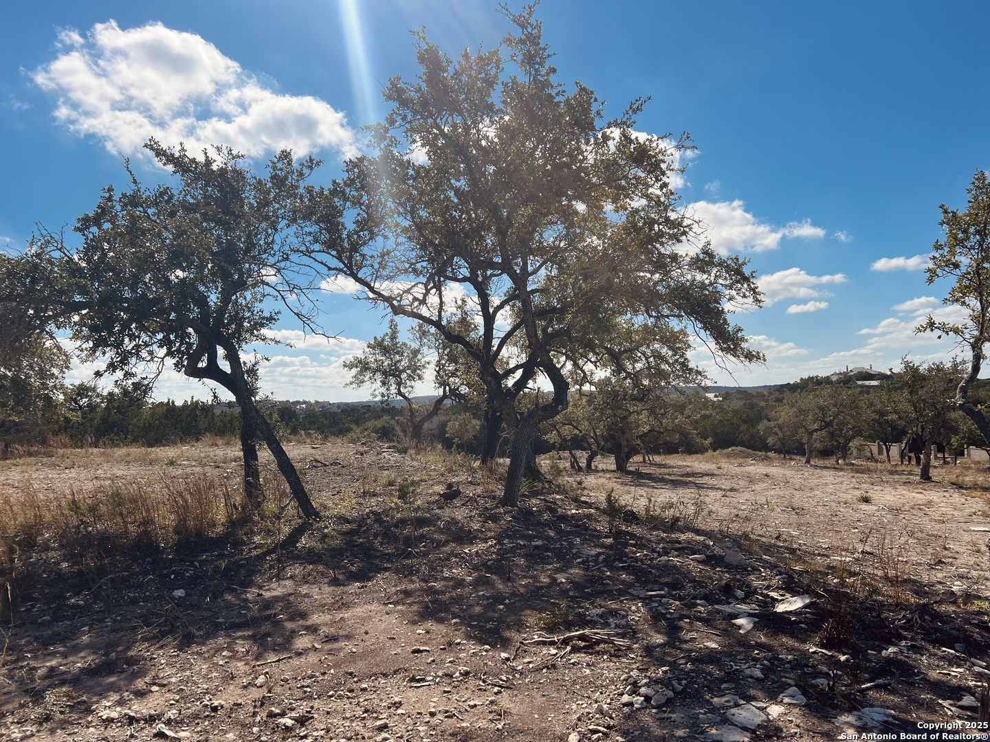 30150 Roadrunner Bulverde TX 78163