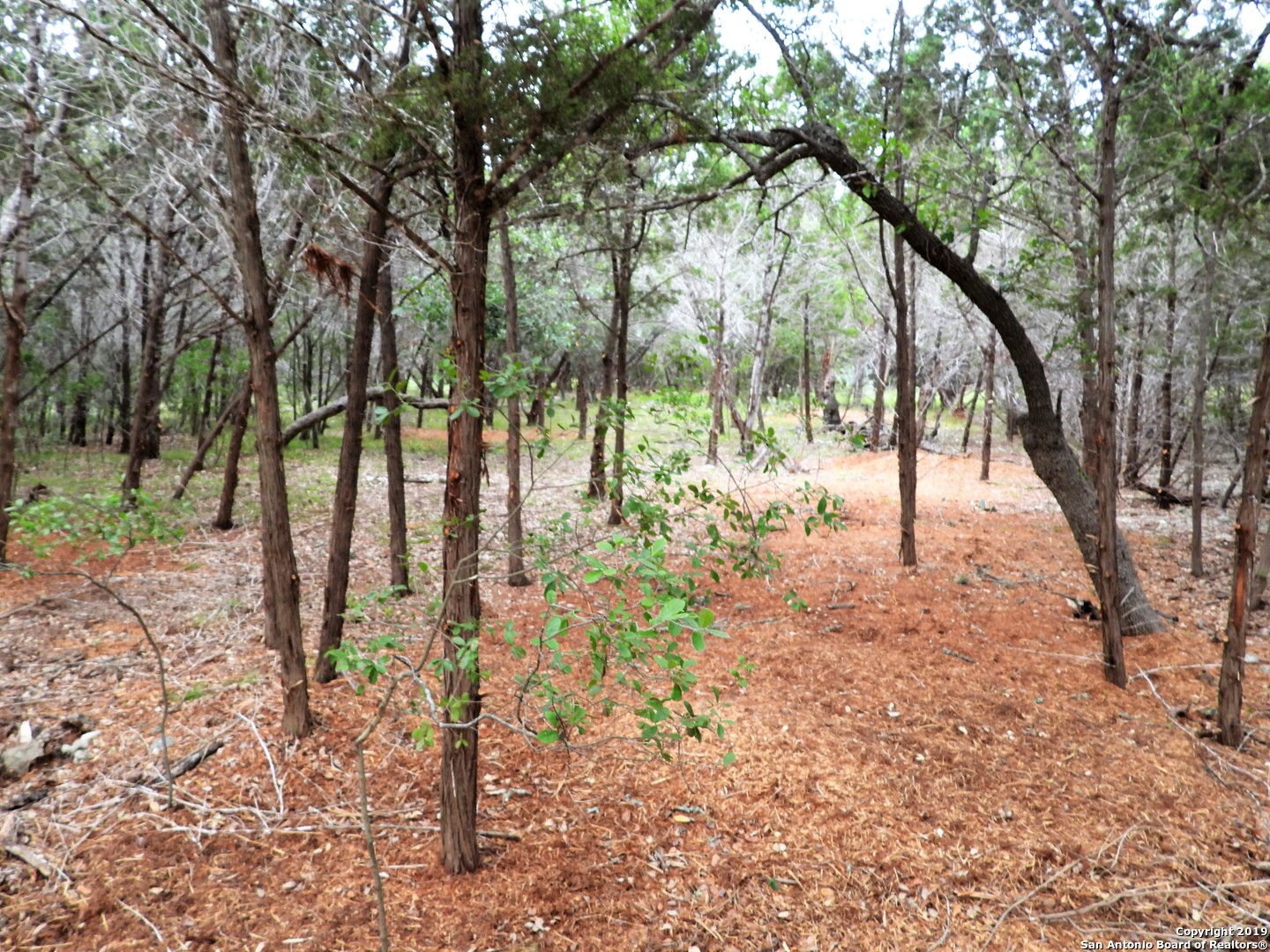 Lot 69 Tracie Trail Lakehills TX 78063