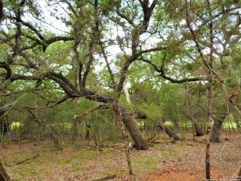 Lot 69 Tracie Trail Lakehills TX 78063