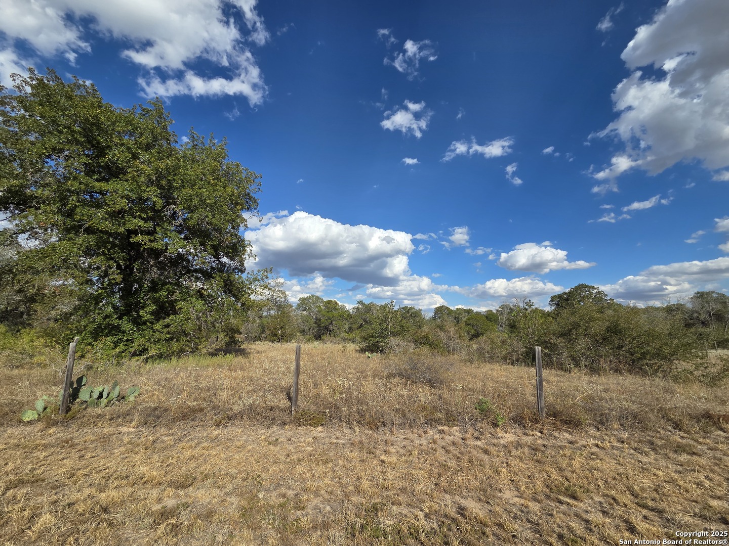 1830 Clear Lake Poteet TX 78065