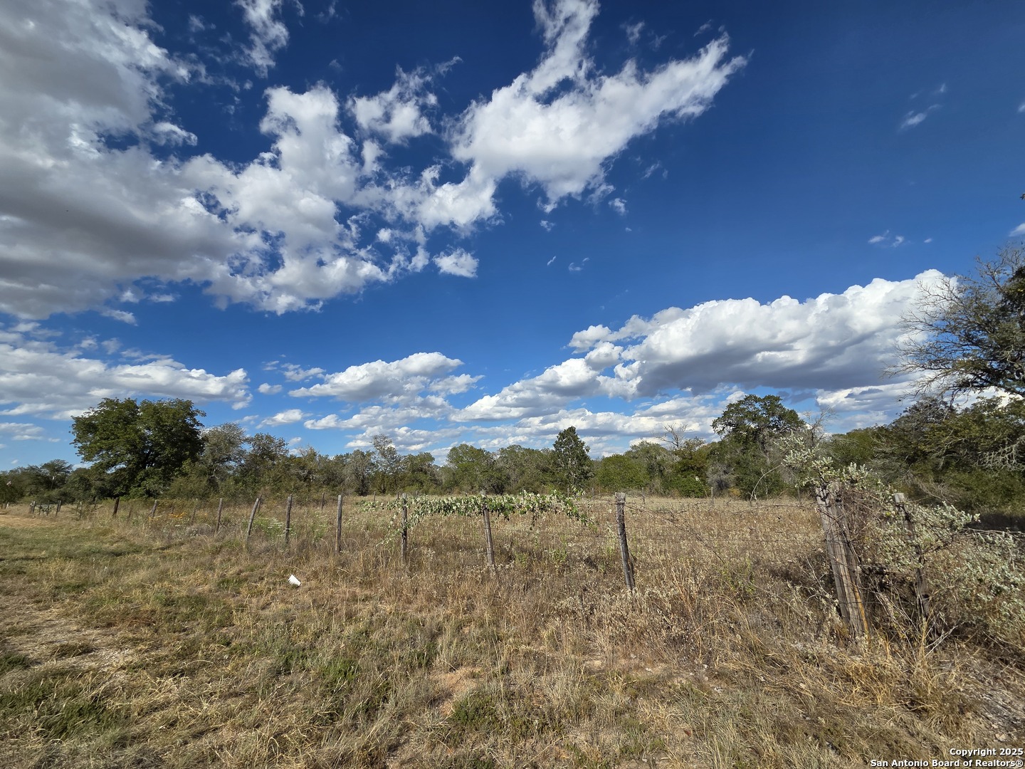 1830 Clear Lake Poteet TX 78065