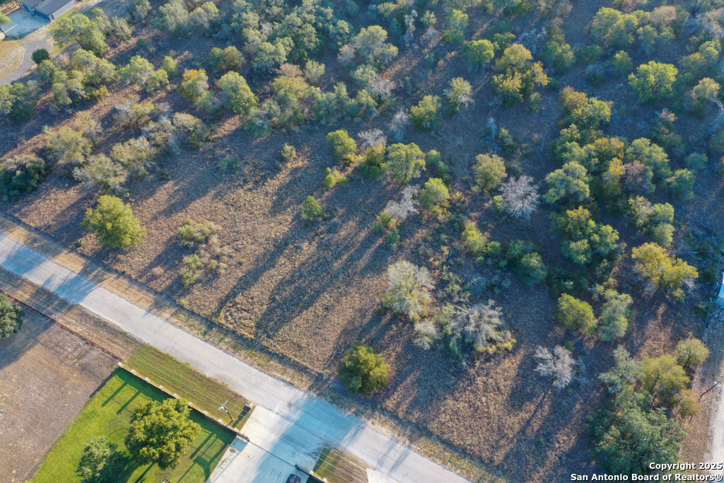 1830 Clear Lake Poteet TX 78065