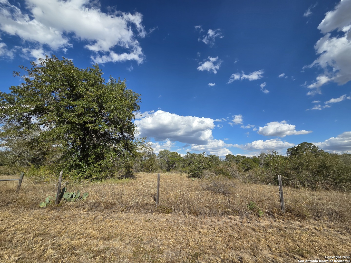 1830 Clear Lake Poteet TX 78065