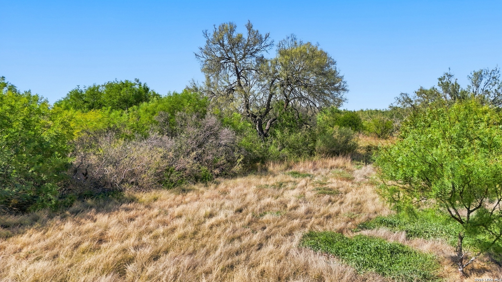 344 Private Road 5000 Uvalde TX 78801