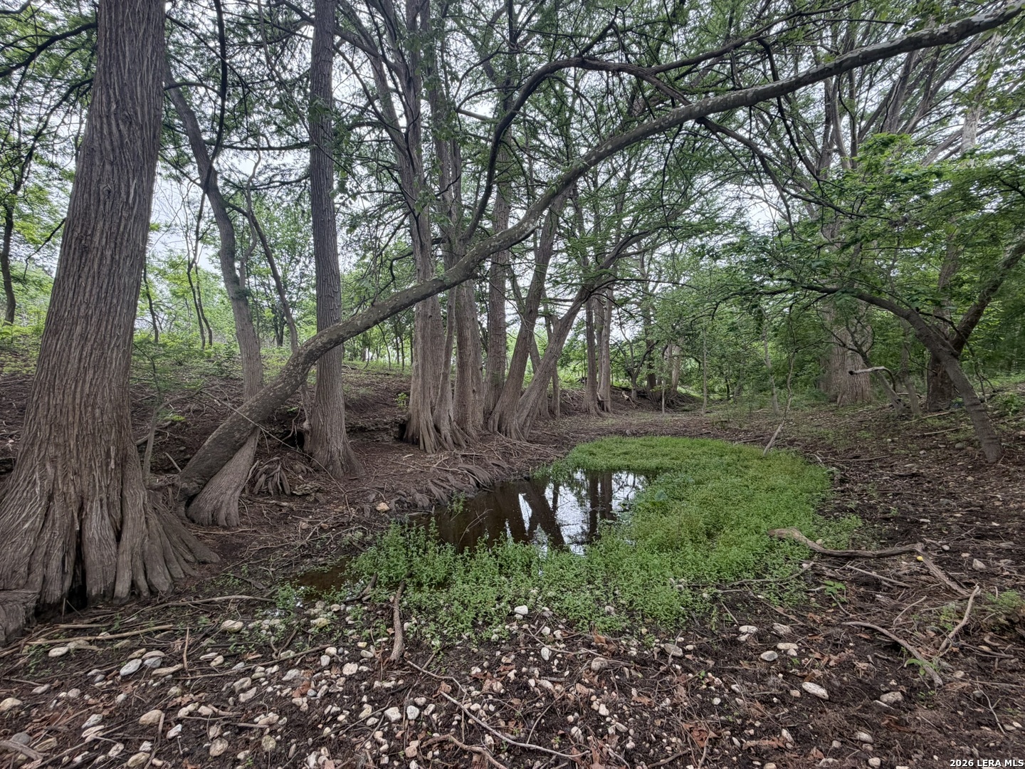 261 River Drive Rio Frio TX 78879