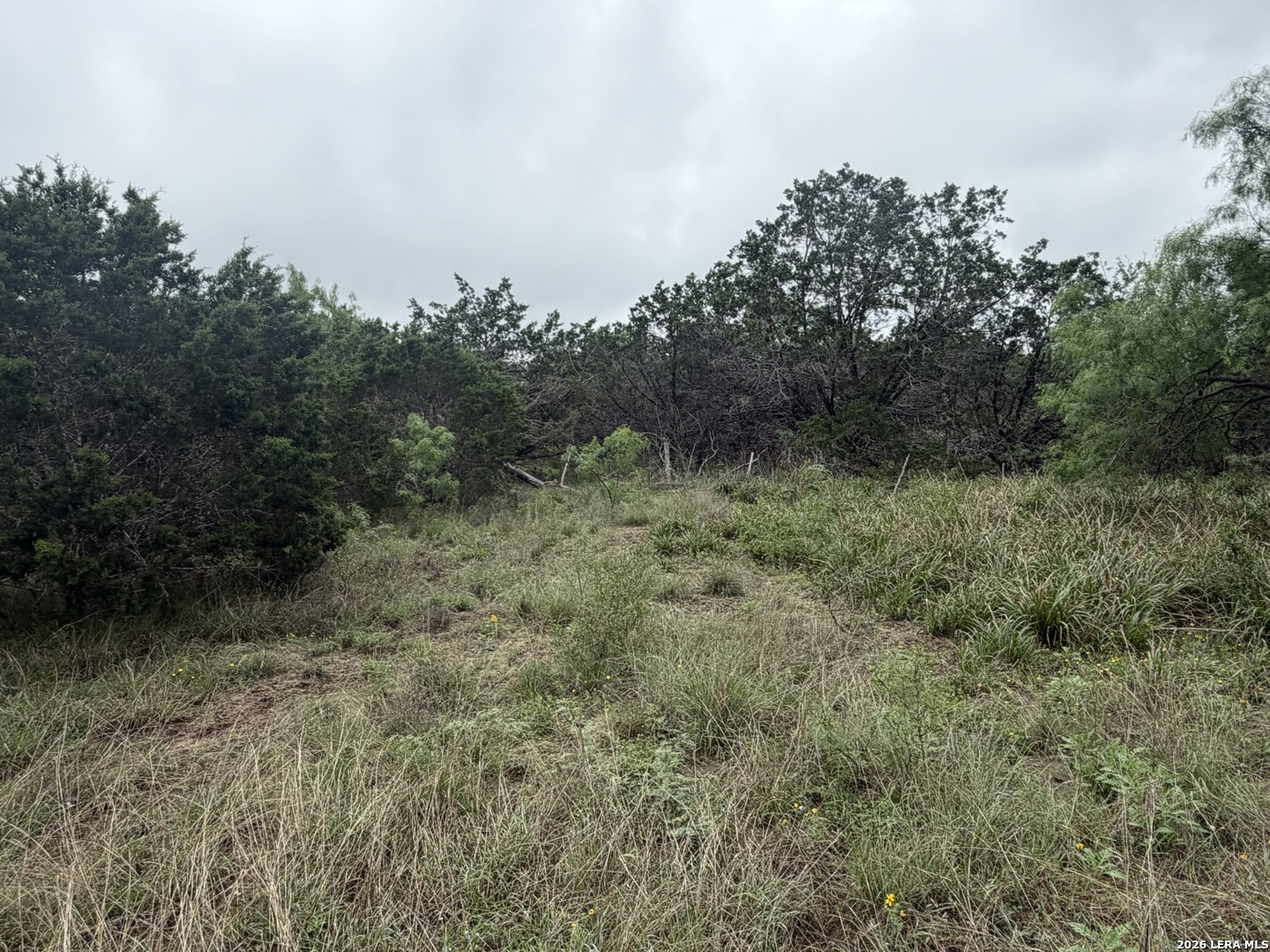 261 River Drive Rio Frio TX 78879