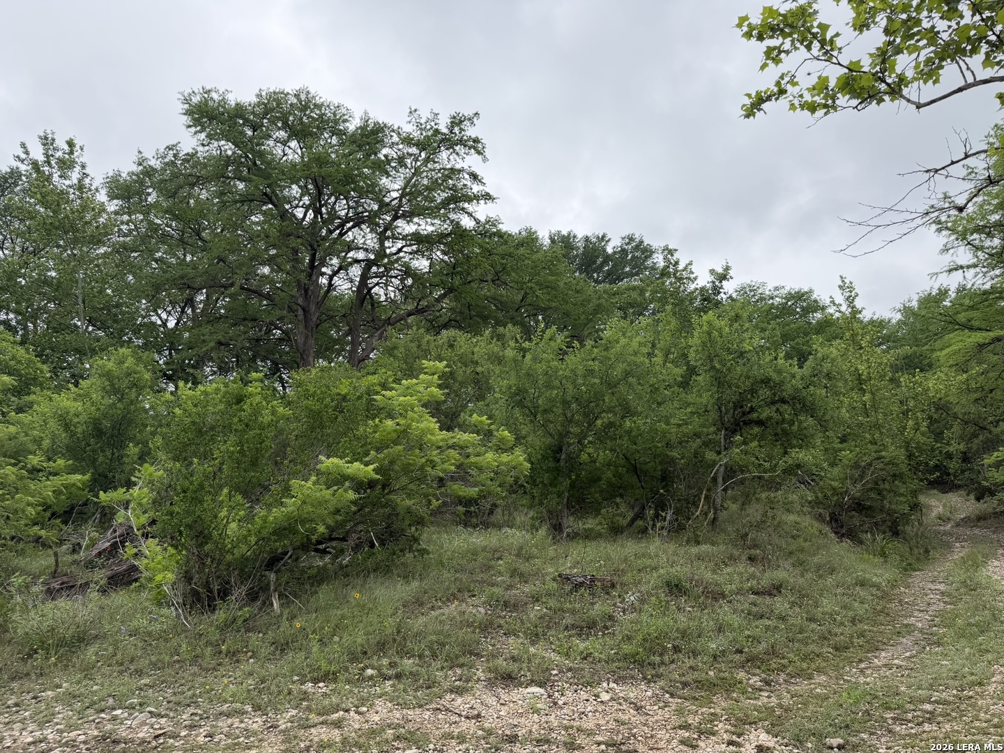 261 River Drive Rio Frio TX 78879
