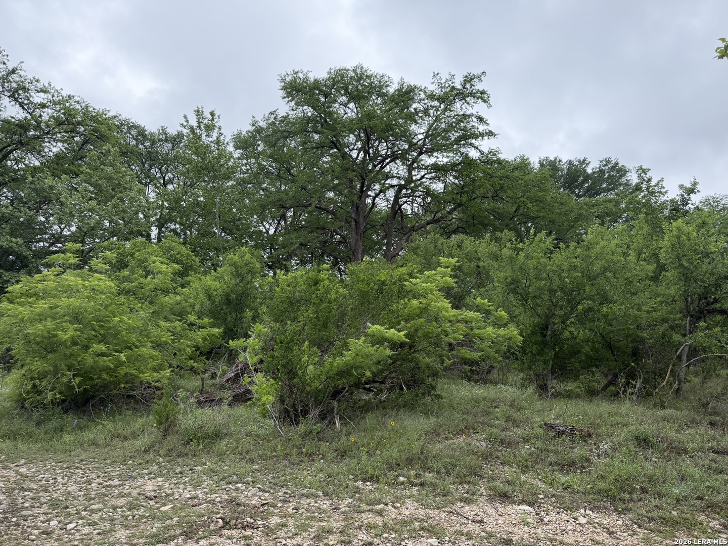 261 River Drive Rio Frio TX 78879