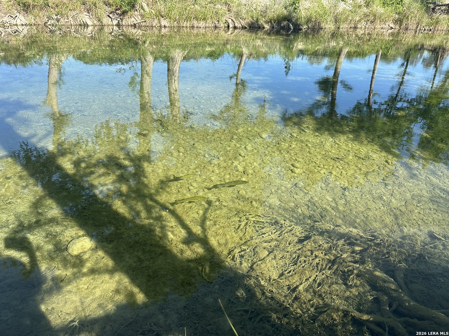 261 River Drive Rio Frio TX 78879