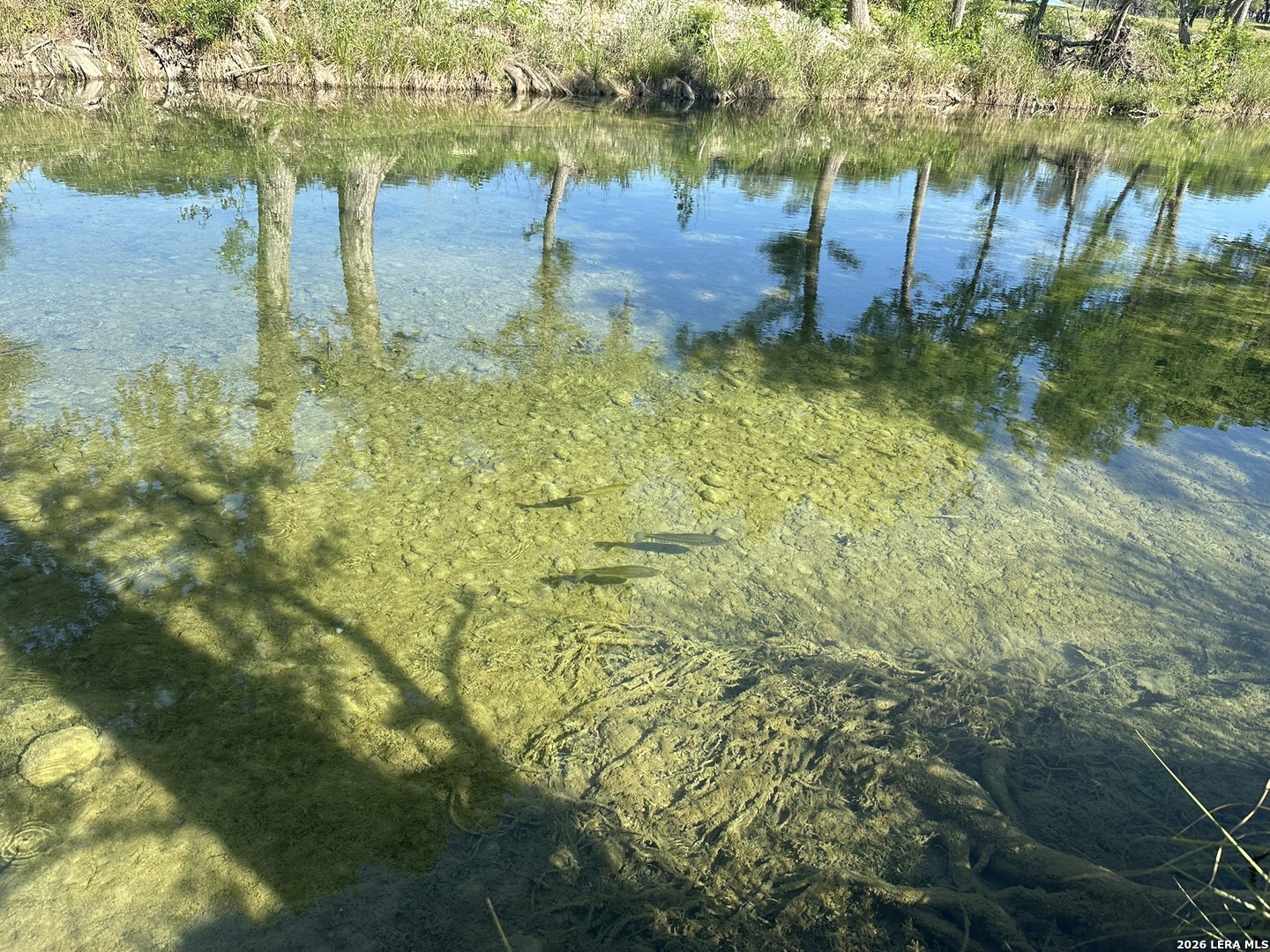 261 River Drive Rio Frio TX 78879