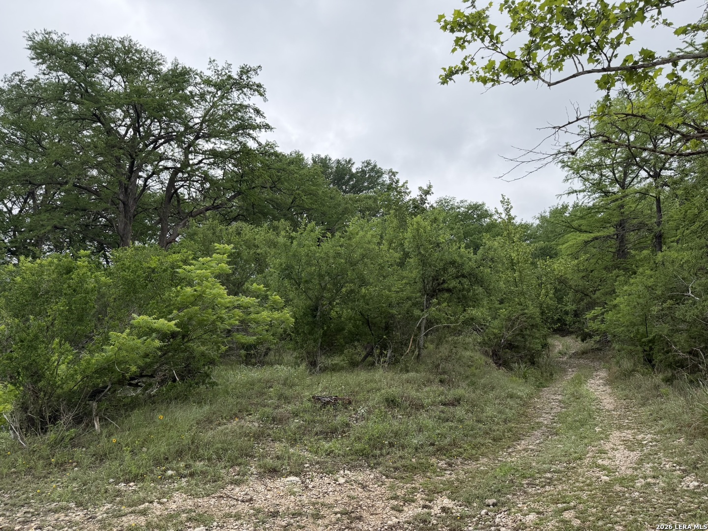 261 River Drive Rio Frio TX 78879
