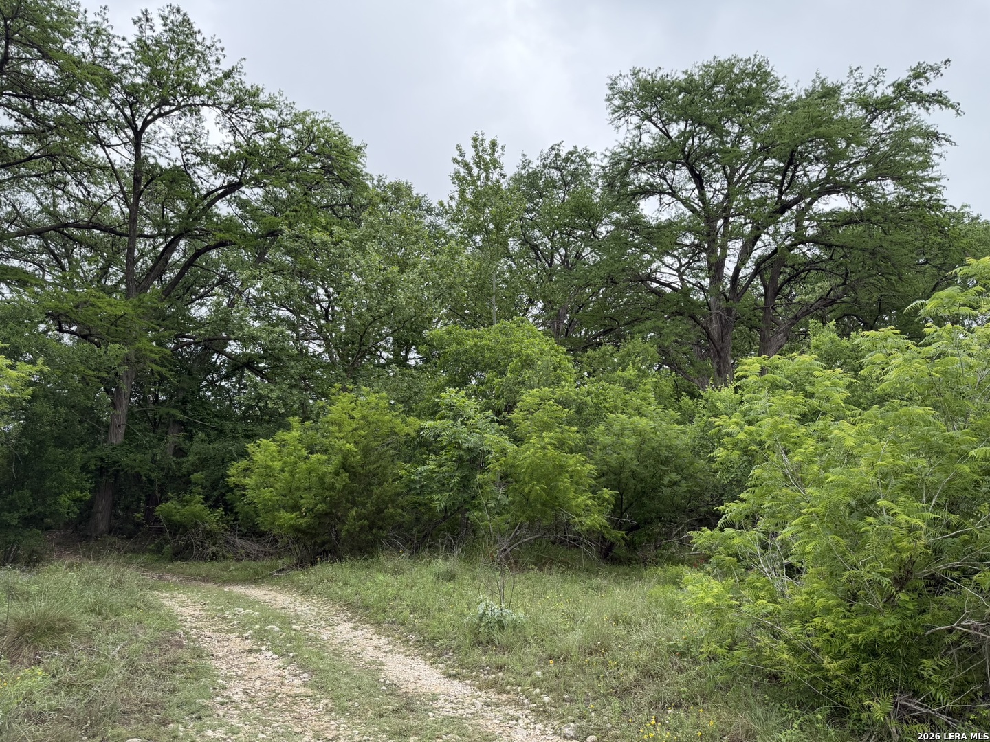 261 River Drive Rio Frio TX 78879