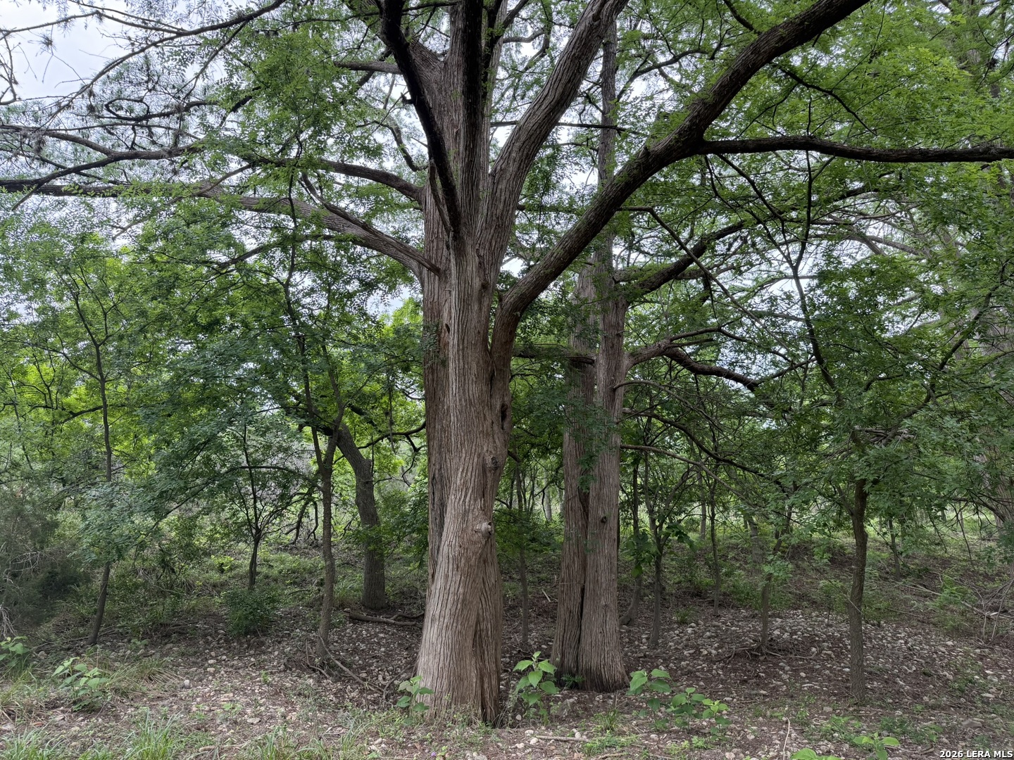 261 River Drive Rio Frio TX 78879