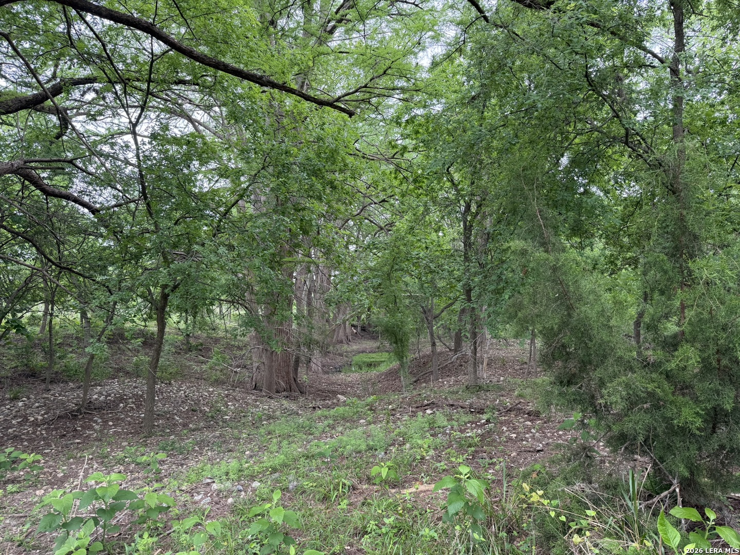 261 River Drive Rio Frio TX 78879