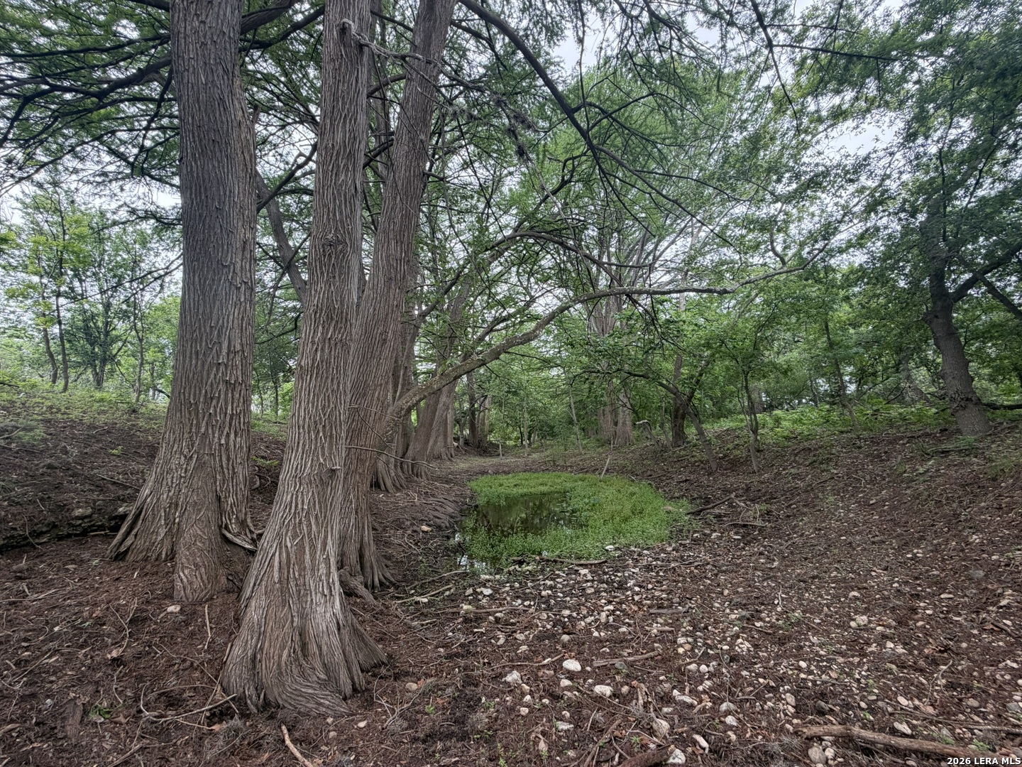 261 River Drive Rio Frio TX 78879