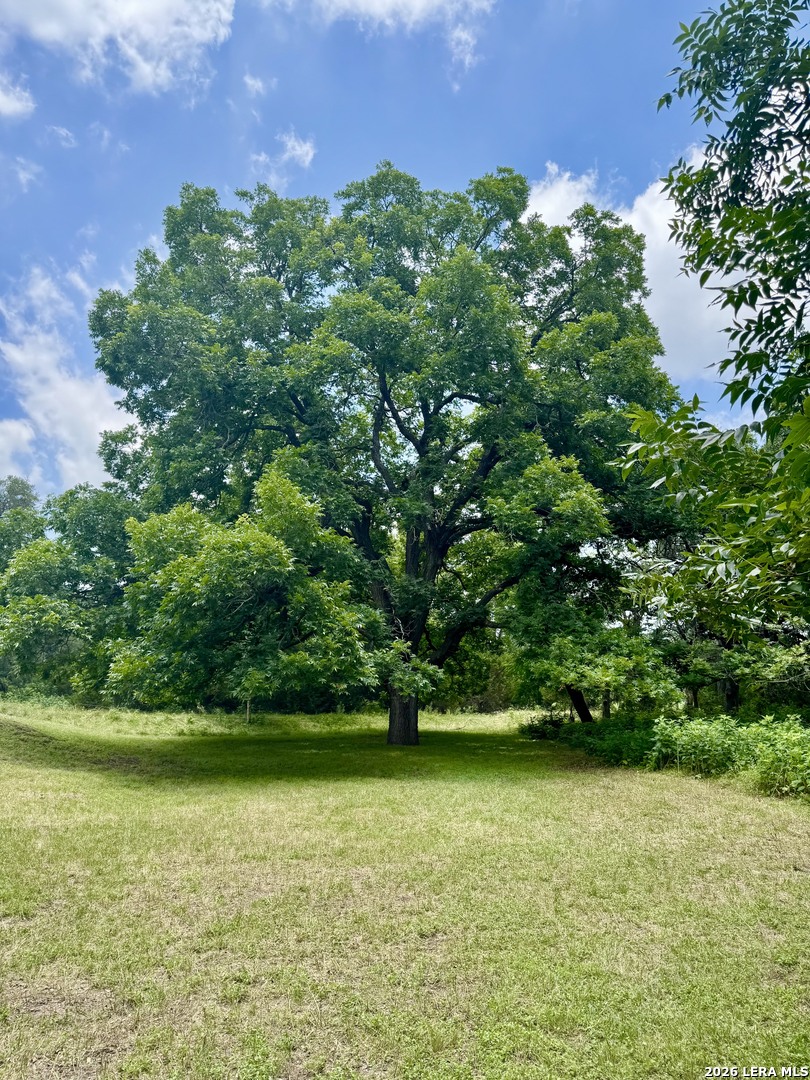 359 Bud Danner Drive Leakey TX 78873
