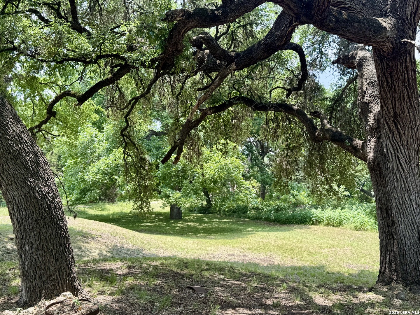 359 Bud Danner Drive Leakey TX 78873