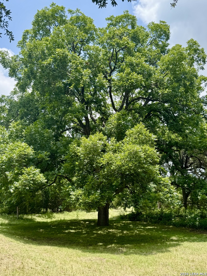 359 Bud Danner Drive Leakey TX 78873