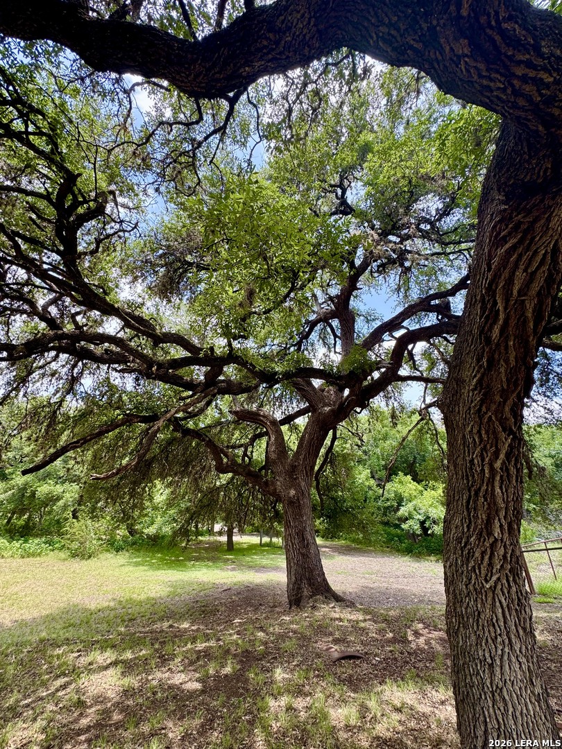 359 Bud Danner Drive Leakey TX 78873