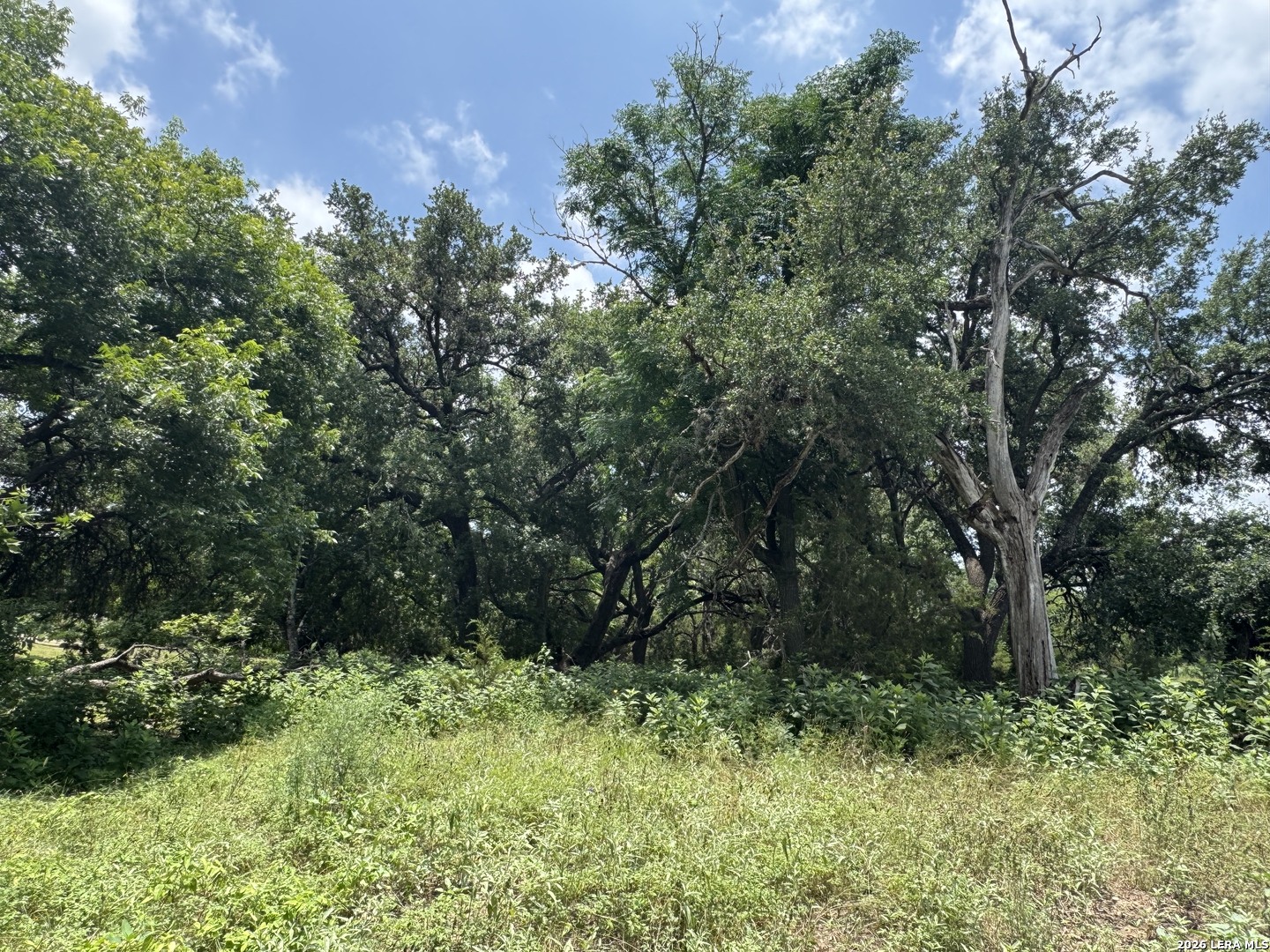 359 Bud Danner Drive Leakey TX 78873