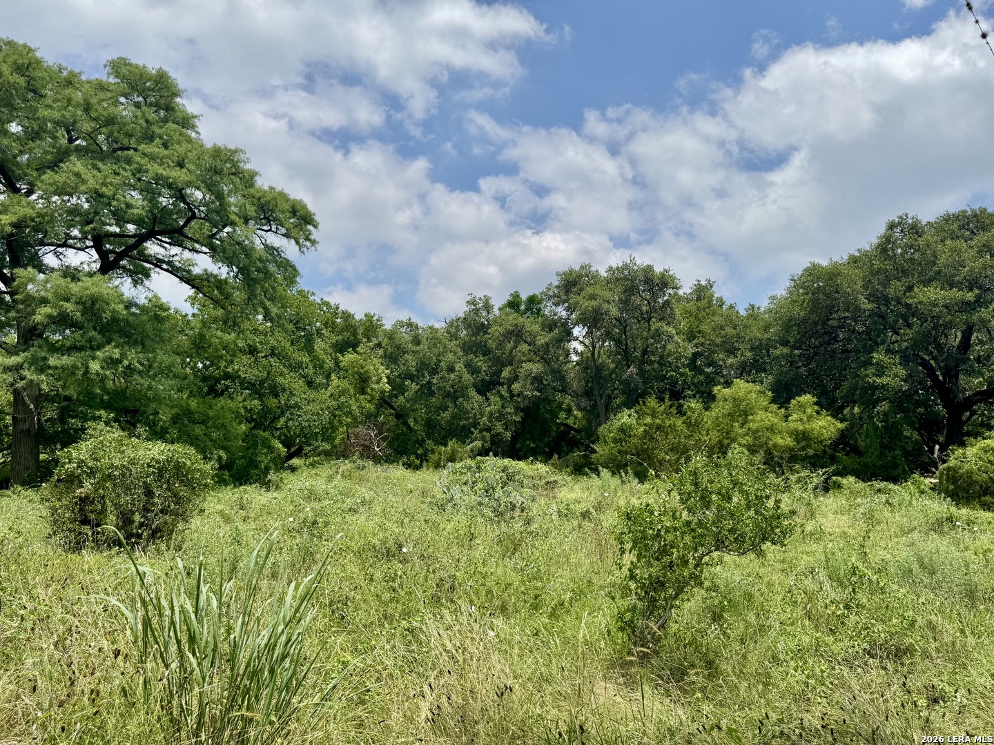 359 Bud Danner Drive Leakey TX 78873