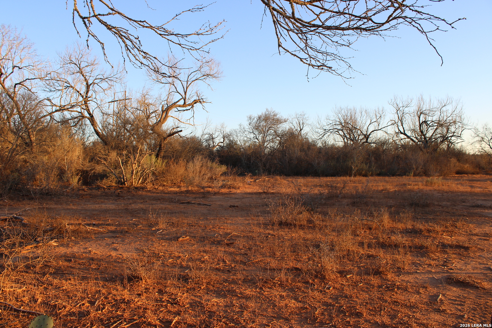 3103 W Fm 462 Moore TX 78057