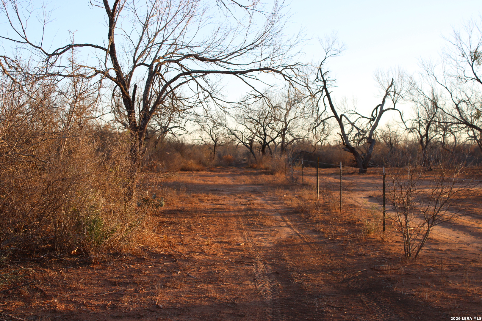 3103 W Fm 462 Moore TX 78057