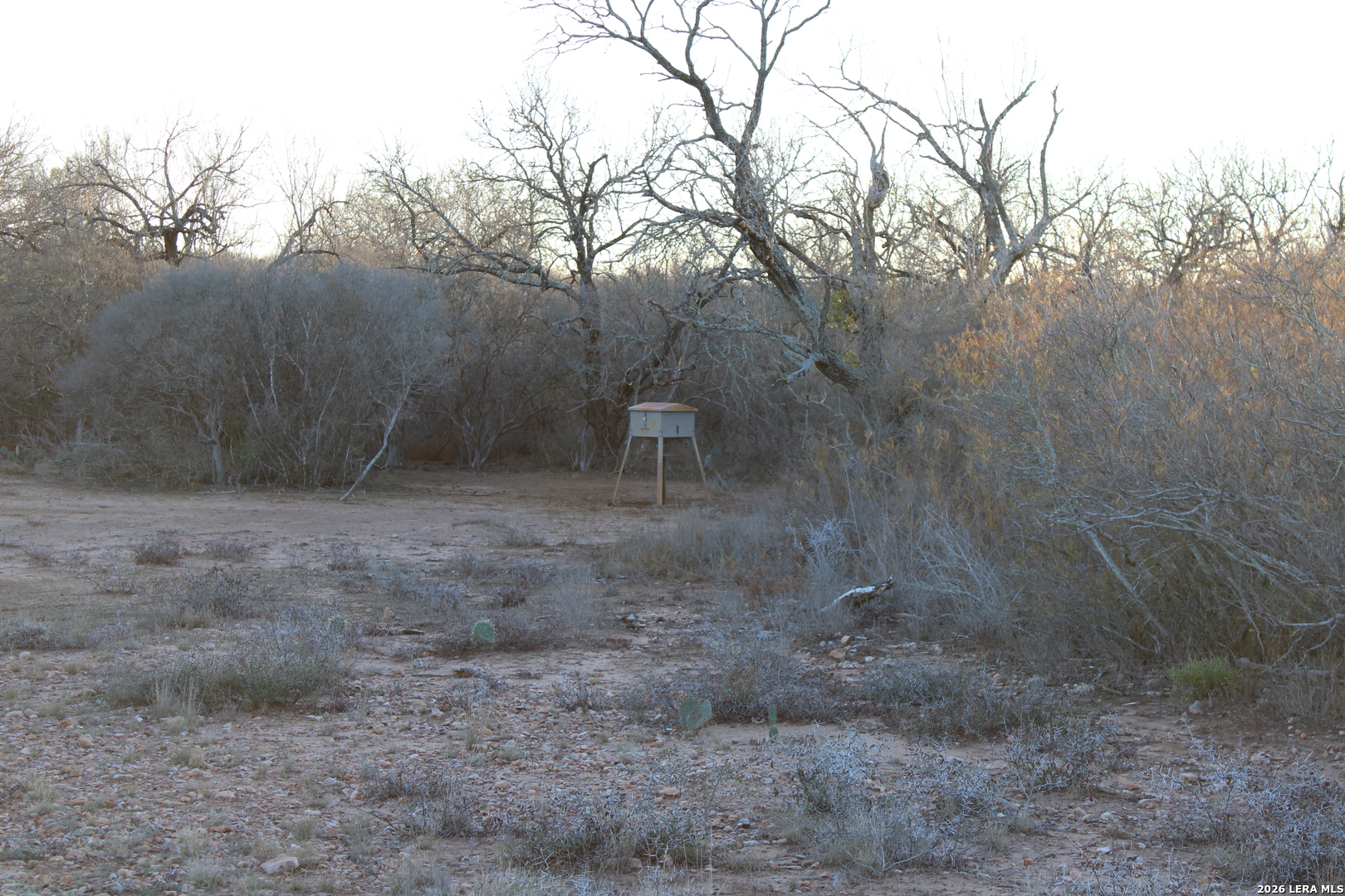 3103 W Fm 462 Moore TX 78057