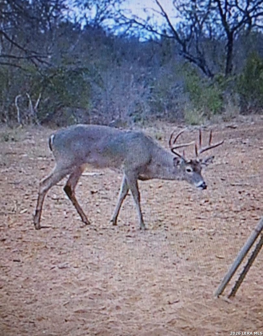3103 W Fm 462 Moore TX 78057