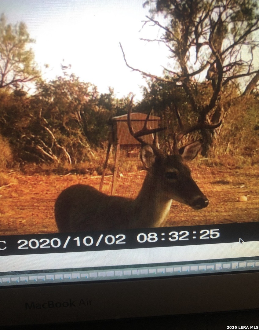 3103 W Fm 462 Moore TX 78057