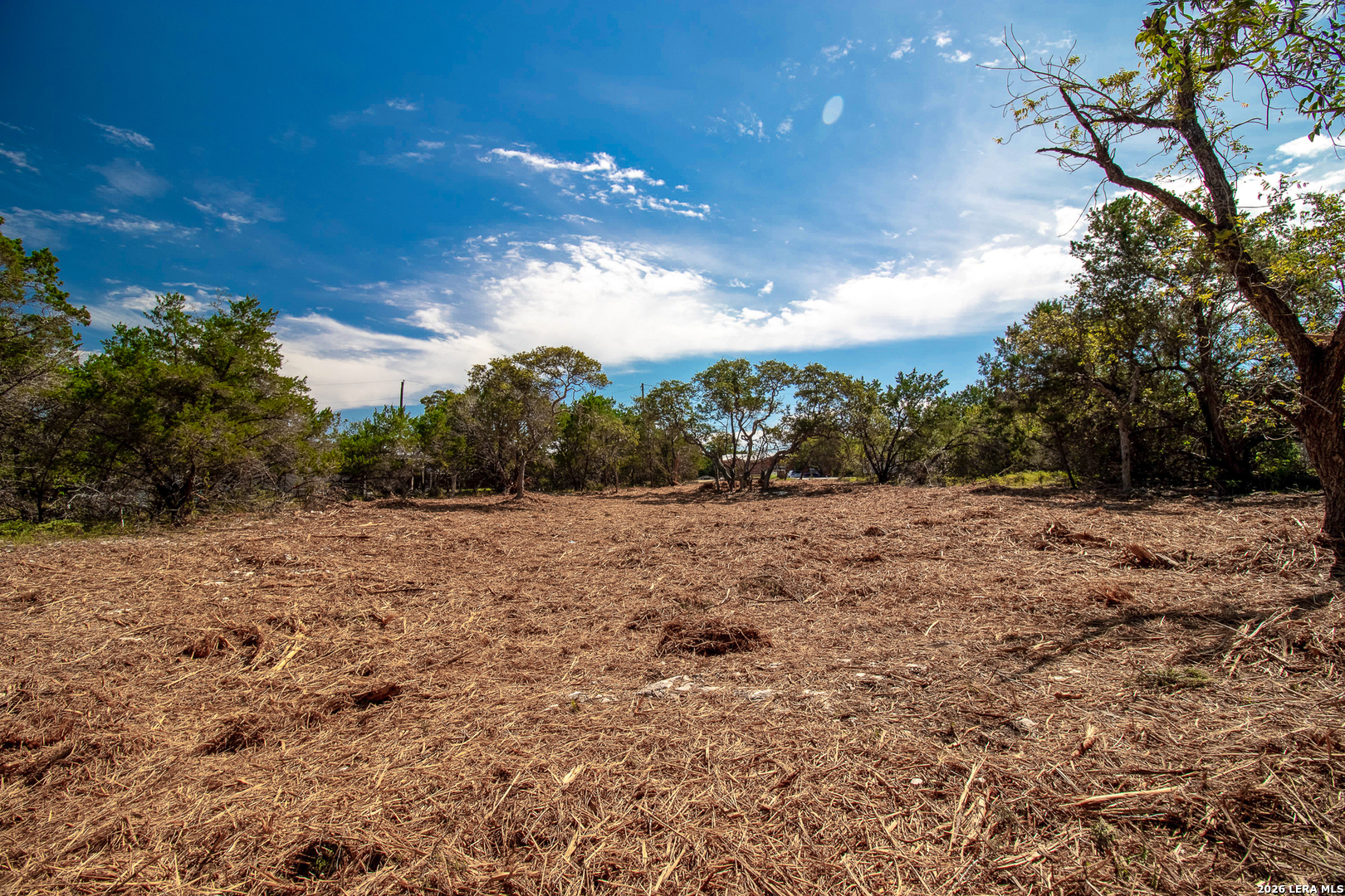 345 Horseshoe Track Spring Branch TX 78070