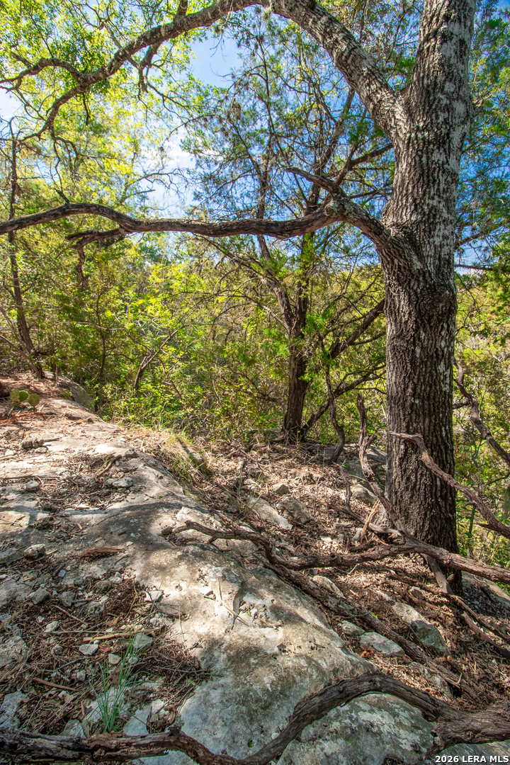 345 Horseshoe Track Spring Branch TX 78070