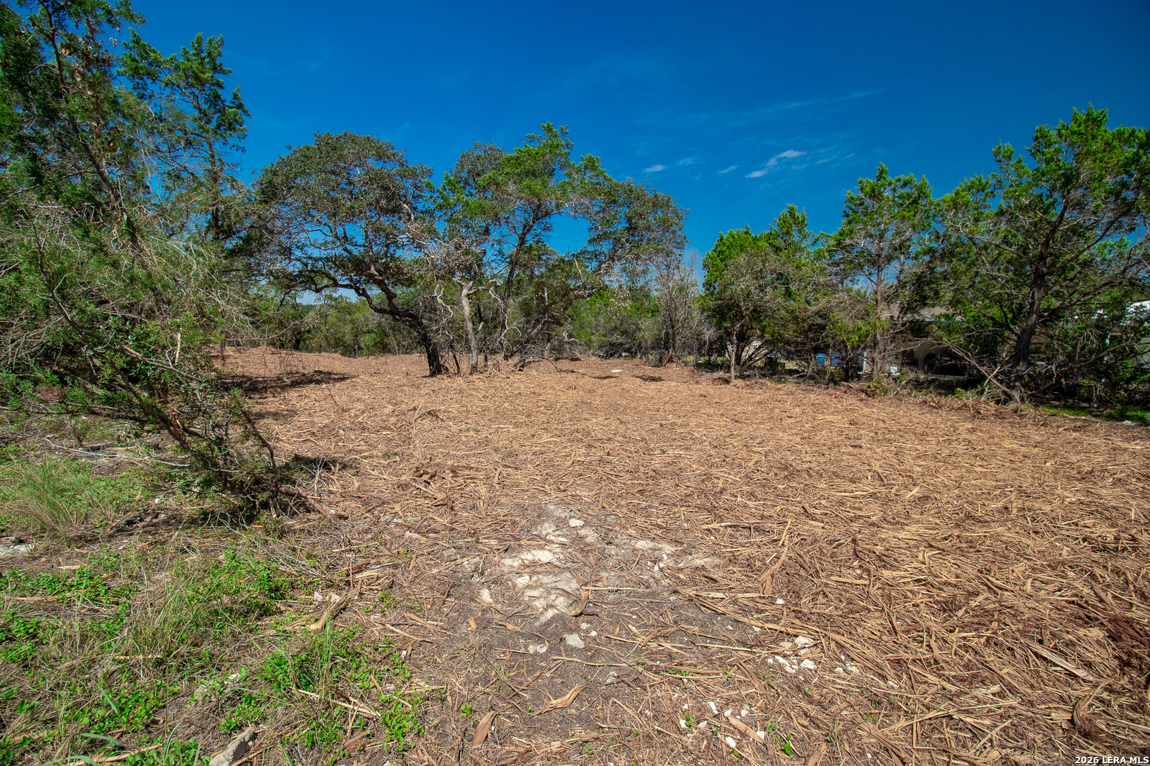 345 Horseshoe Track Spring Branch TX 78070
