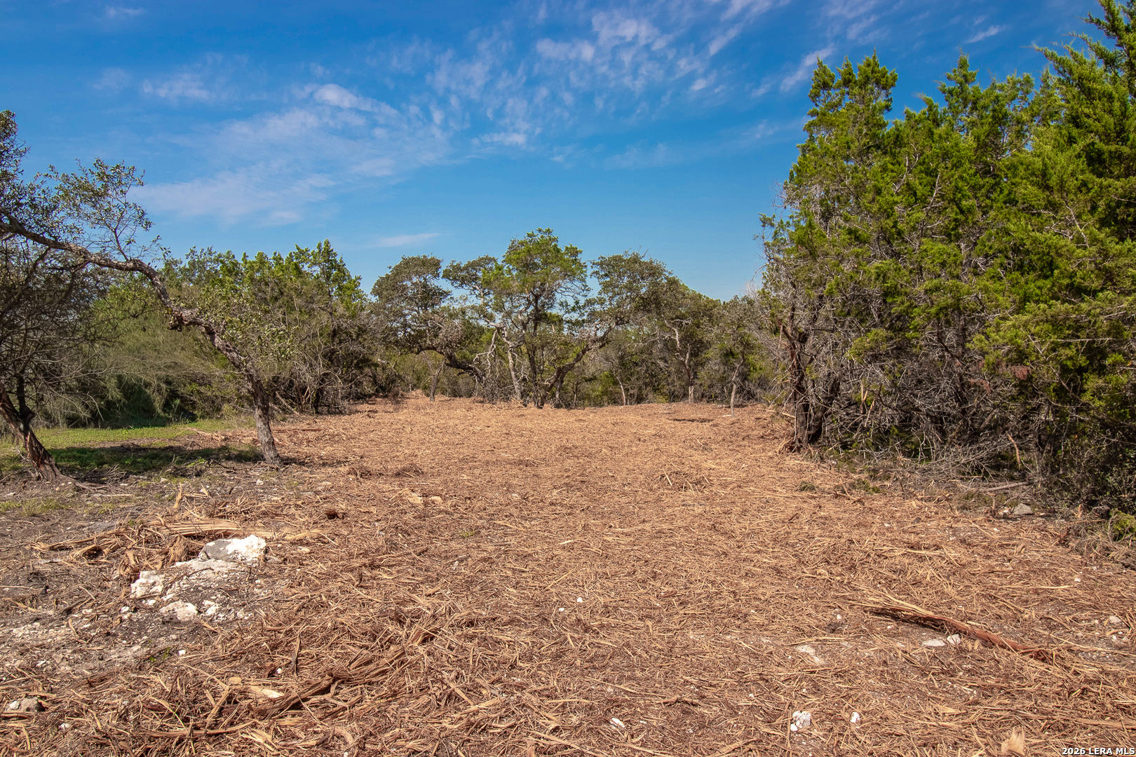 345 Horseshoe Track Spring Branch TX 78070