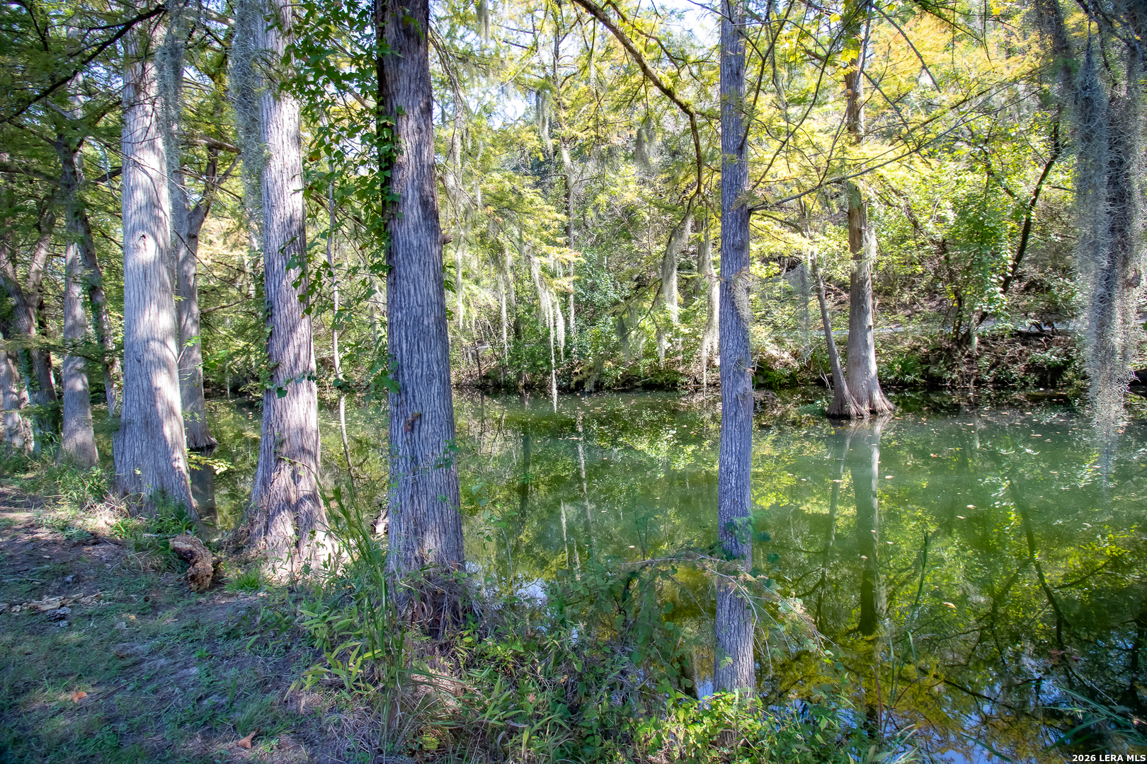 345 Horseshoe Track Spring Branch TX 78070