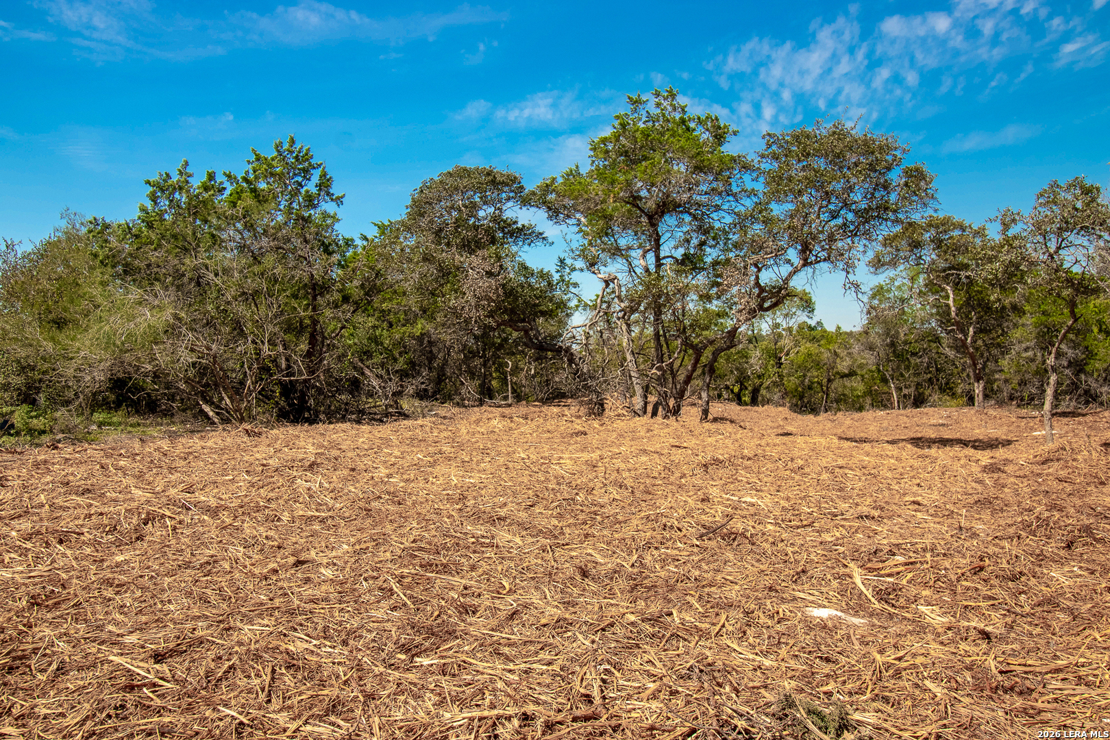 345 Horseshoe Track Spring Branch TX 78070