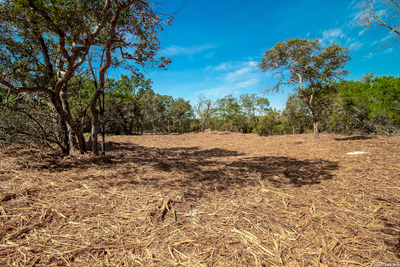 345 Horseshoe Track Spring Branch TX 78070