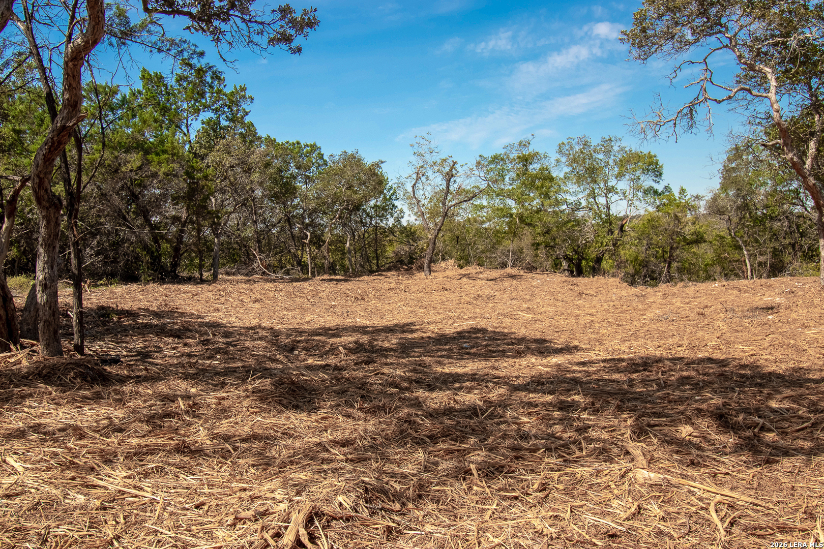 345 Horseshoe Track Spring Branch TX 78070