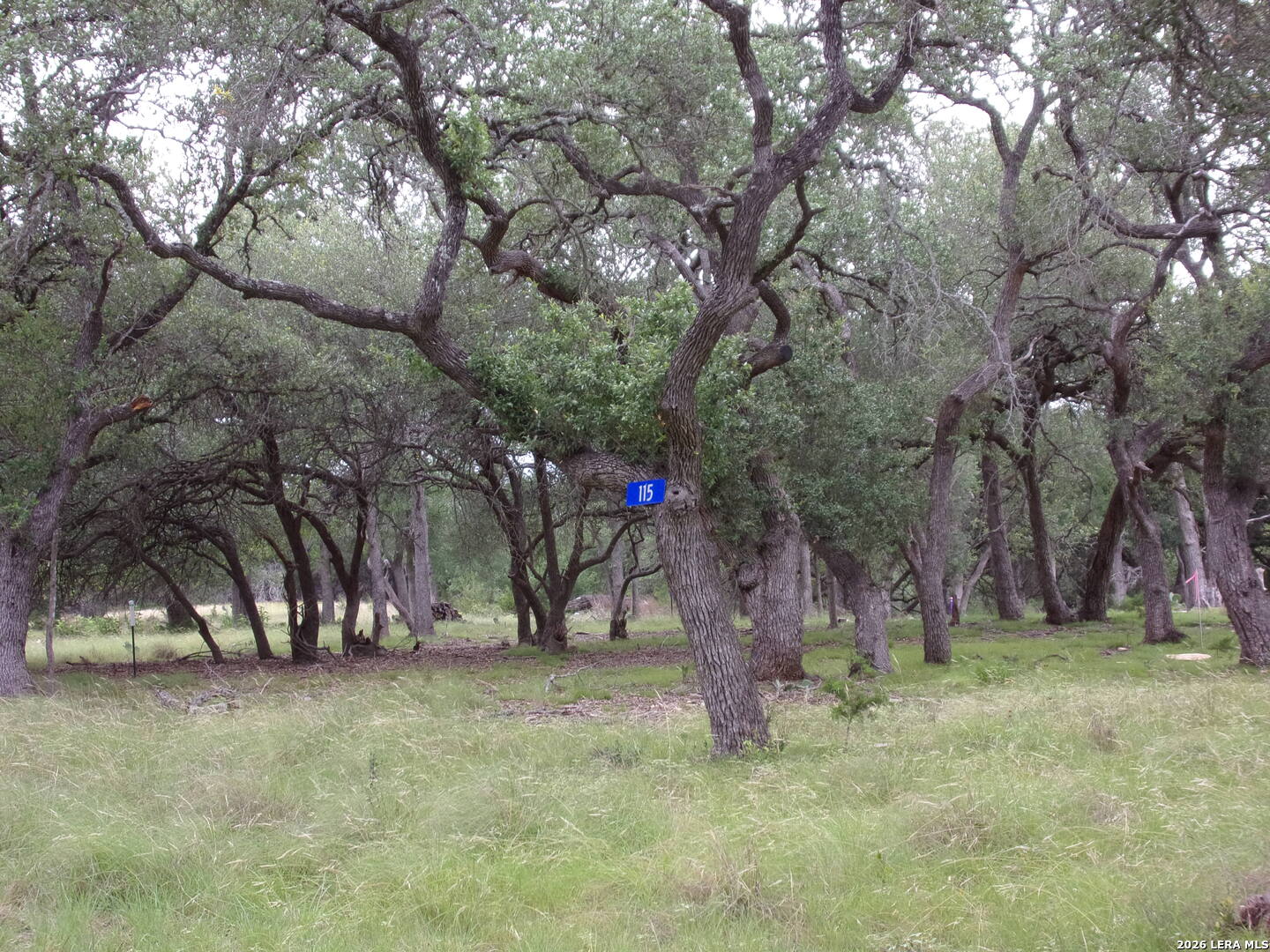 115 La Luna Drive Blanco TX 78606