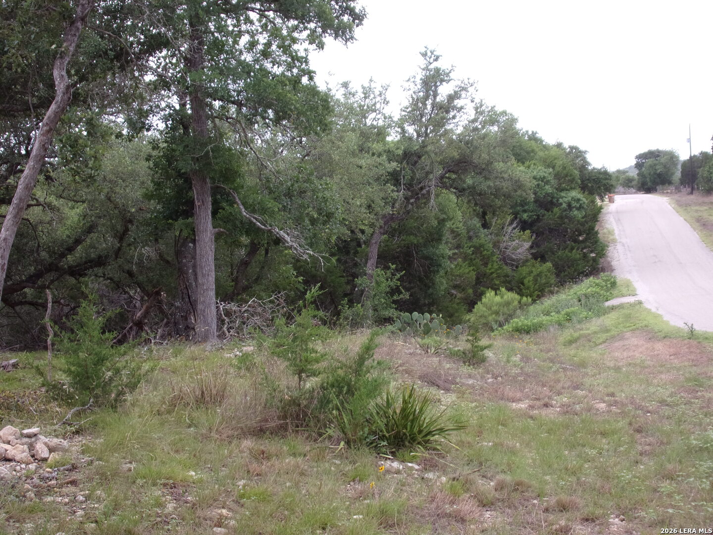 115 La Luna Drive Blanco TX 78606