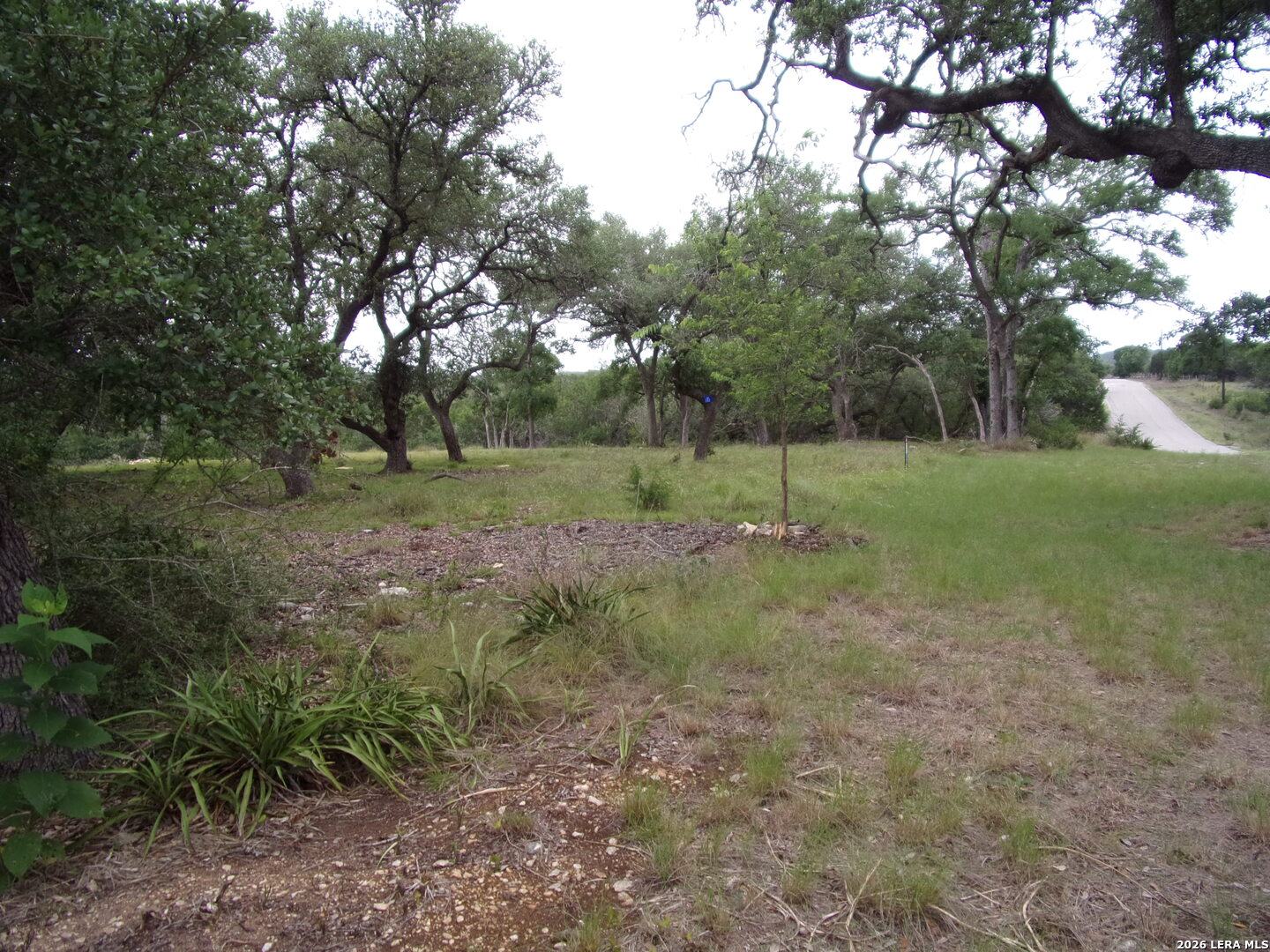 115 La Luna Drive Blanco TX 78606