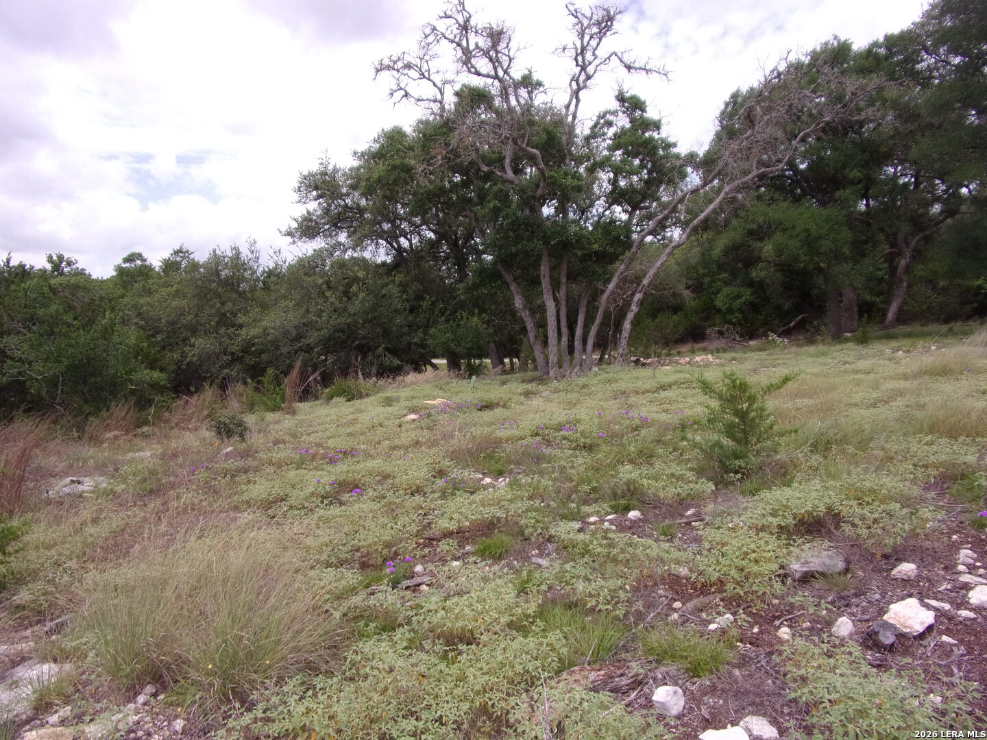 115 La Luna Drive Blanco TX 78606