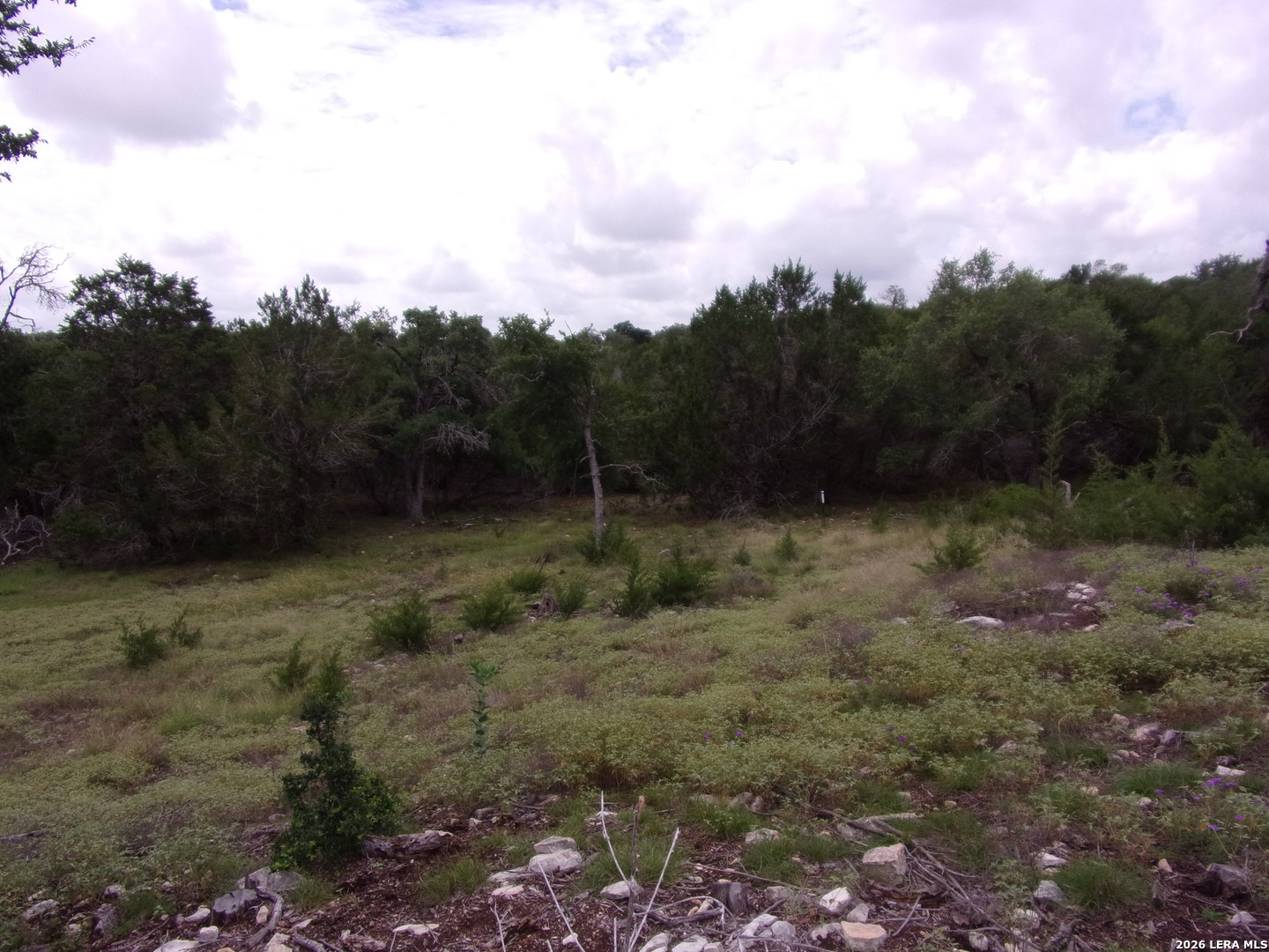 115 La Luna Drive Blanco TX 78606