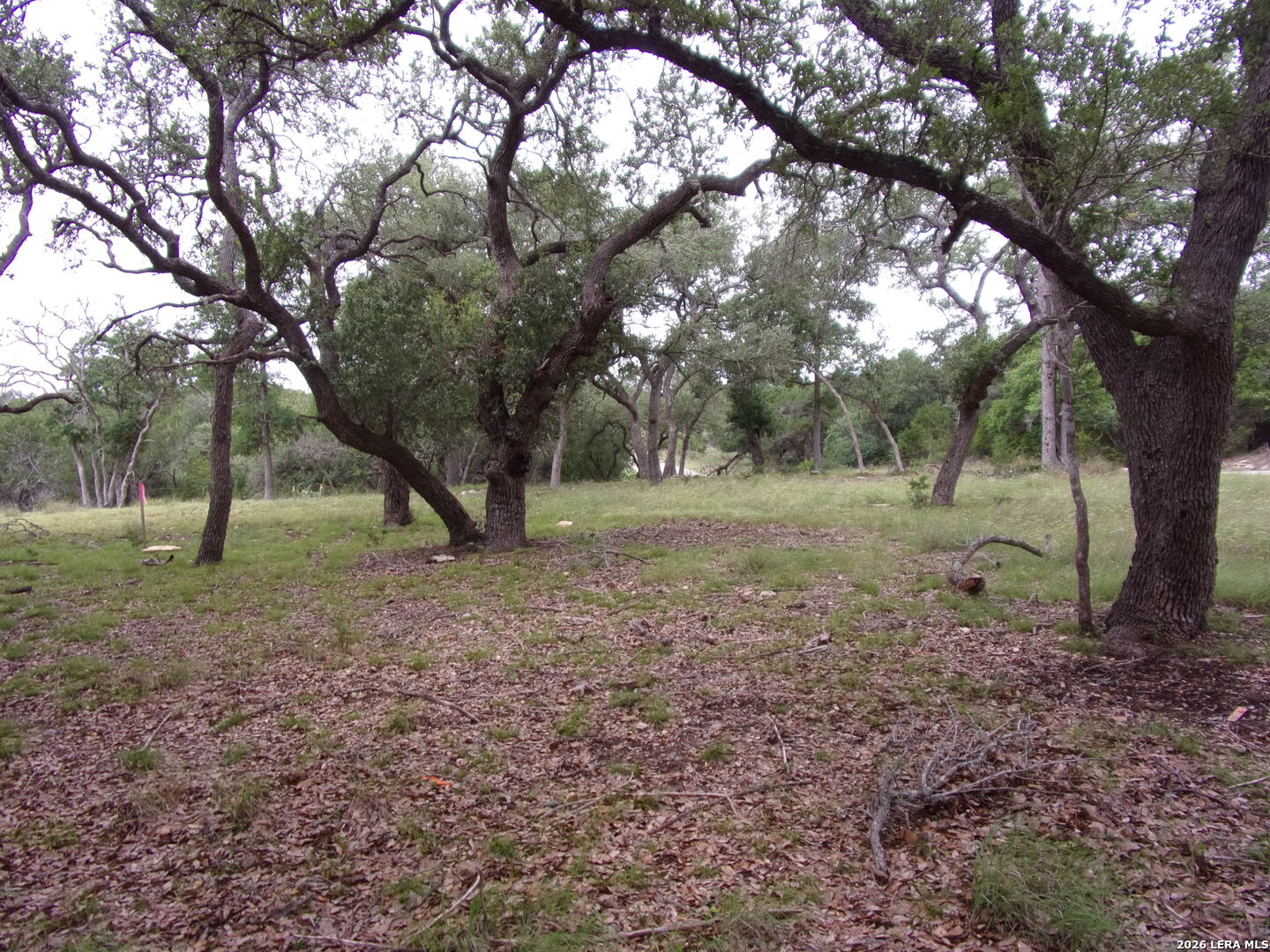 115 La Luna Drive Blanco TX 78606