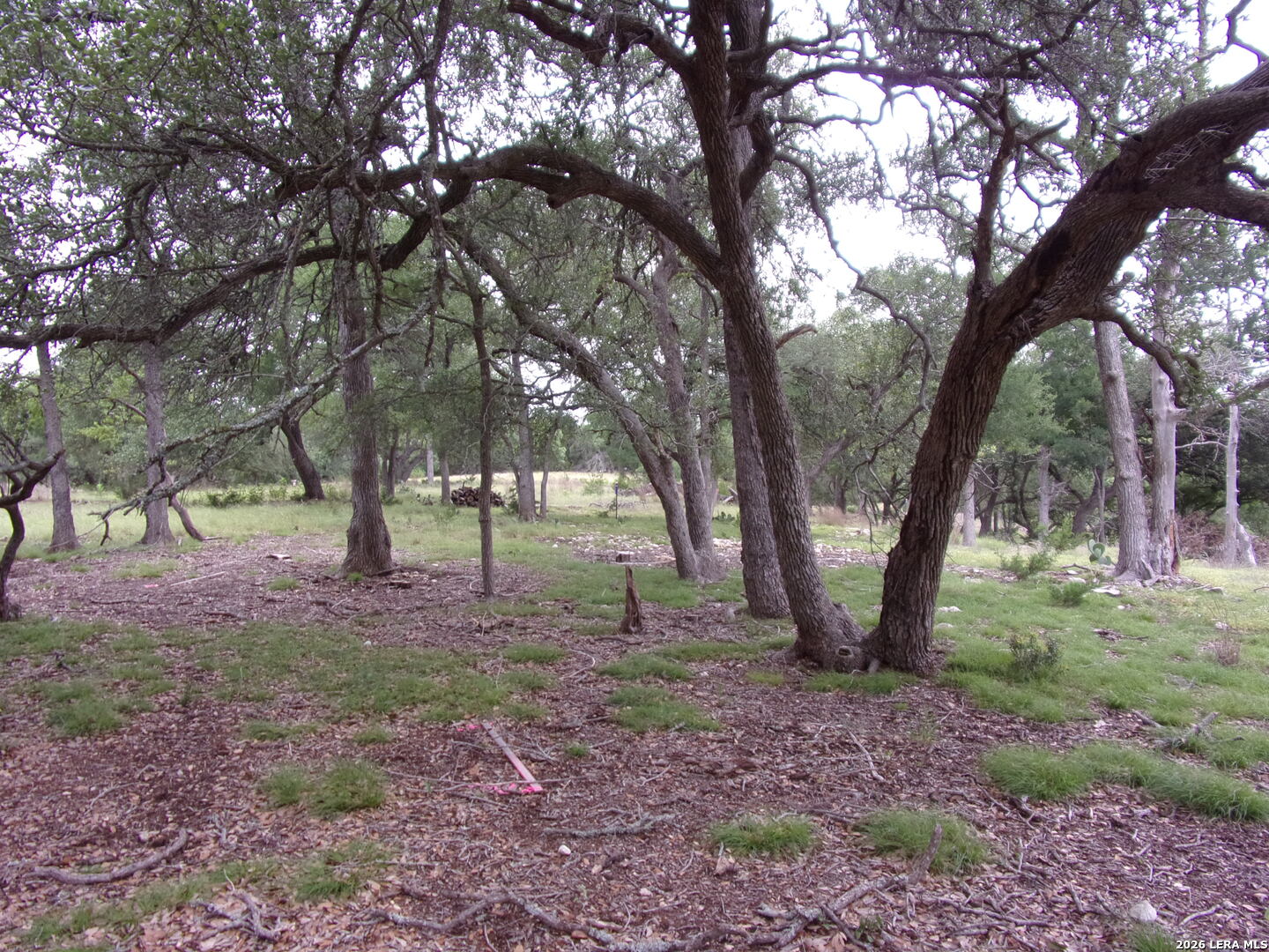 115 La Luna Drive Blanco TX 78606