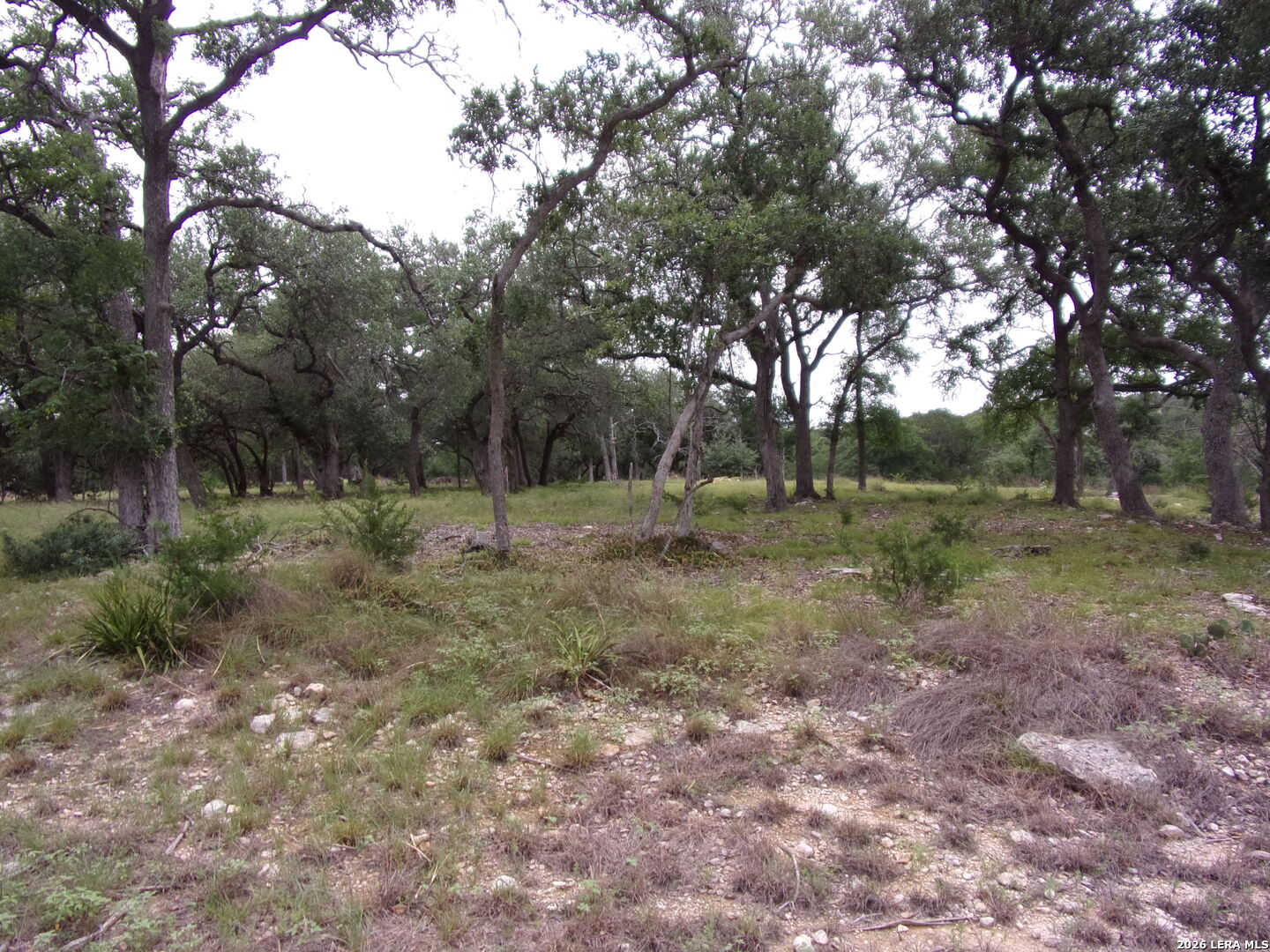 115 La Luna Drive Blanco TX 78606