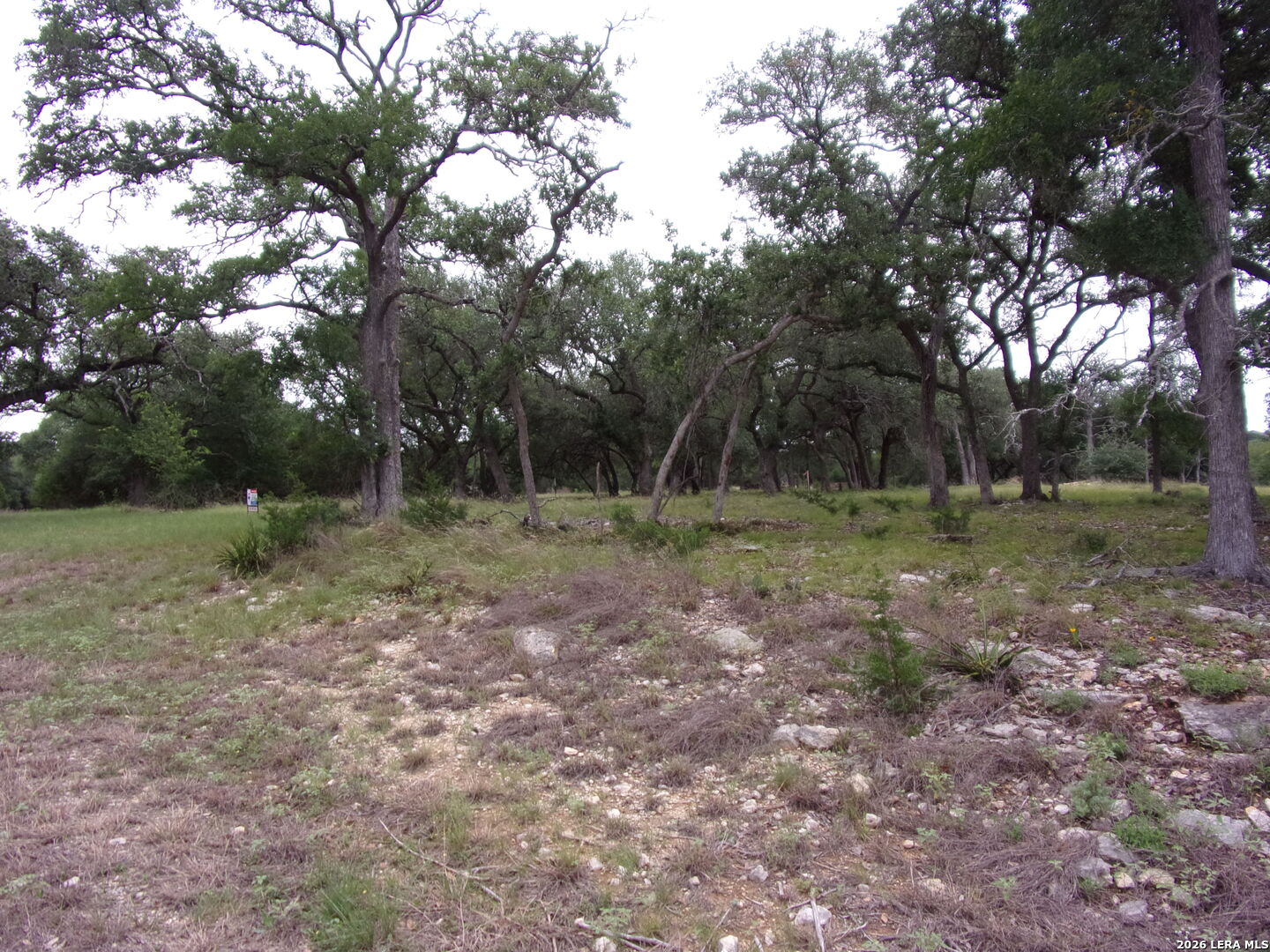 115 La Luna Drive Blanco TX 78606